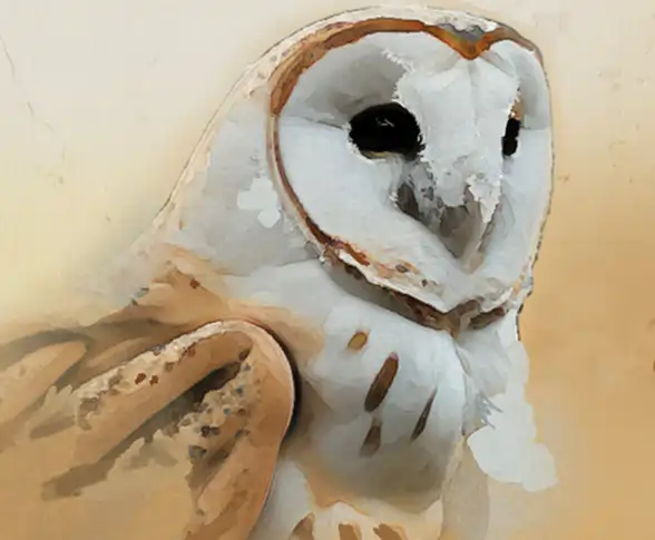 Silentwing
